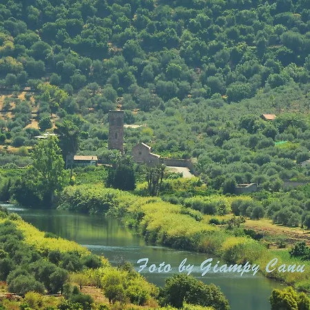 Sandalia Tatil Evi *